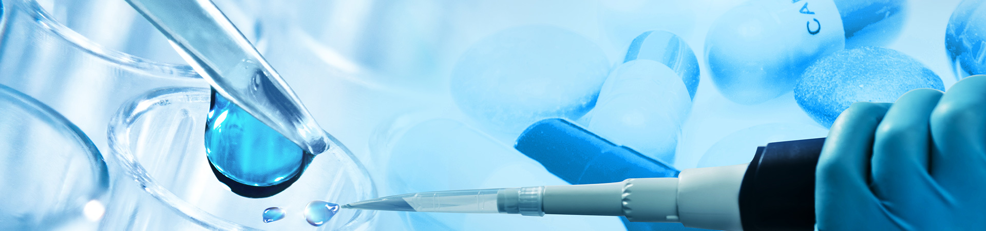 మమ్మల్ని సంప్రదించండి